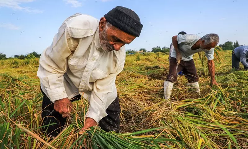 توافق دولت و مجلس برای تغییر شرایط بازنشستگی | با 10 سال پرداخت بیمه حقوق دریافت کنید توافق دولت و مجلس برای تغییر شرایط بازنشستگی | با 10 سال پرداخت بیمه حقوق دریافت کنید