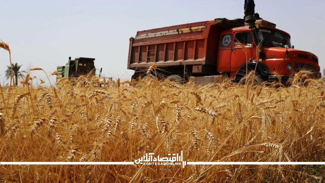 قاچاقچیان محتکر می شوند