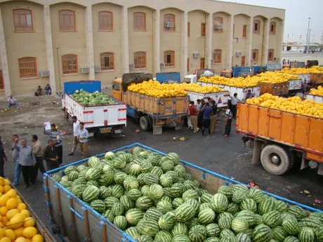 افزایش صادرات مواد غذایی و کشاورزی به عراق