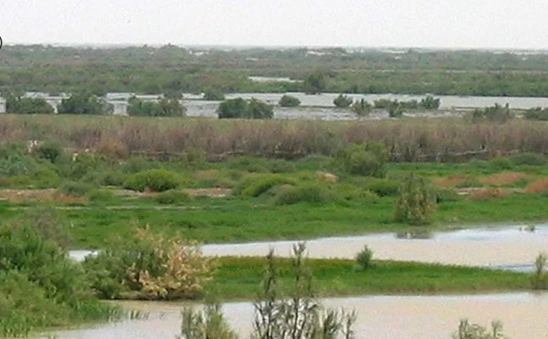 باغ‌ها و زمین‌های کشاورزی در تهدید تگرگ و طوفان