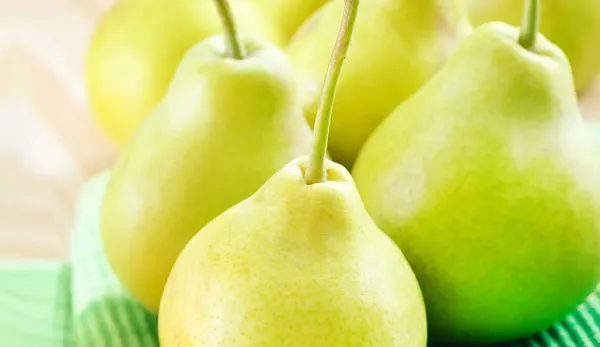 ۲۱ فایده شگفت‌انگیز گلابی برای سلامتی