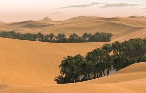بارش برف و باران در عربستان؛ بیابان‌ها سرسبز شد! + فیلم