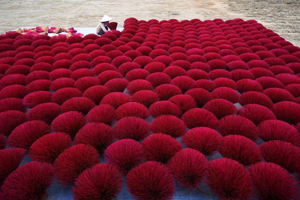 آماده سازی عودهای سنتی +عکس