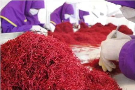 اجرای بزرگترین طرح توسعه اشتغال پایدار کشور در مشهد