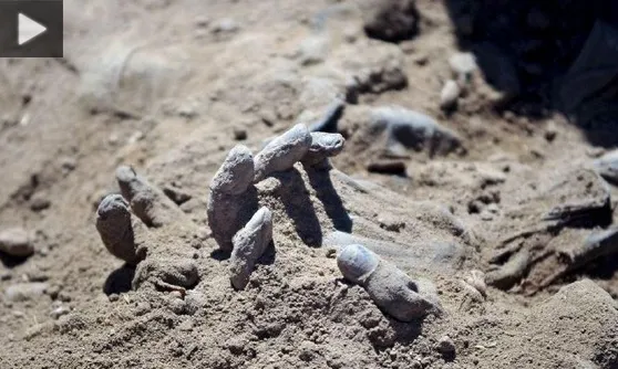 کشف اجساد شکنجه شده در گورهای جمعی حلب+عکس