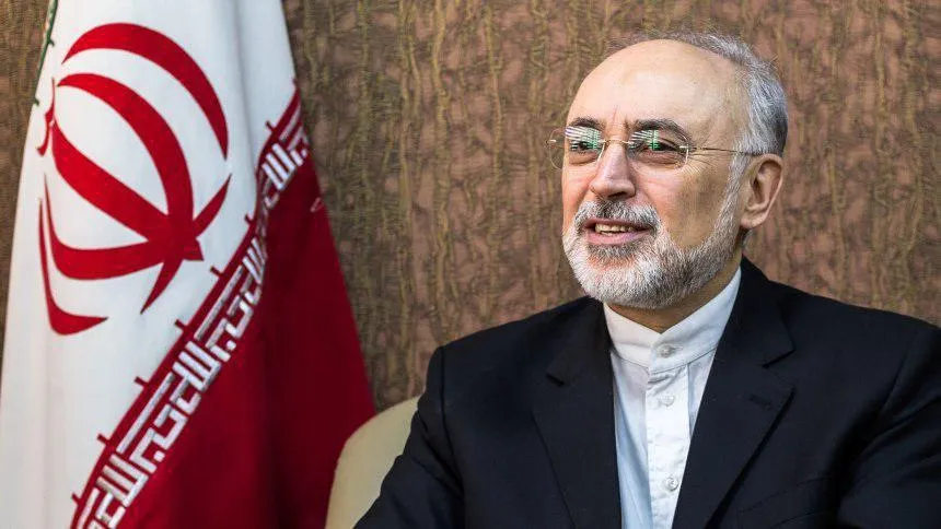 صالحی: فعالیت‌های نیروگاه بوشهر تحت نظارت آژانس است