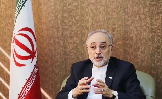 صالحی:بعید است آمریکا برجام را به‌هم بزند
