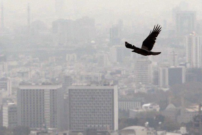 مانور آلاینده‌ها در غیاب باد و باران