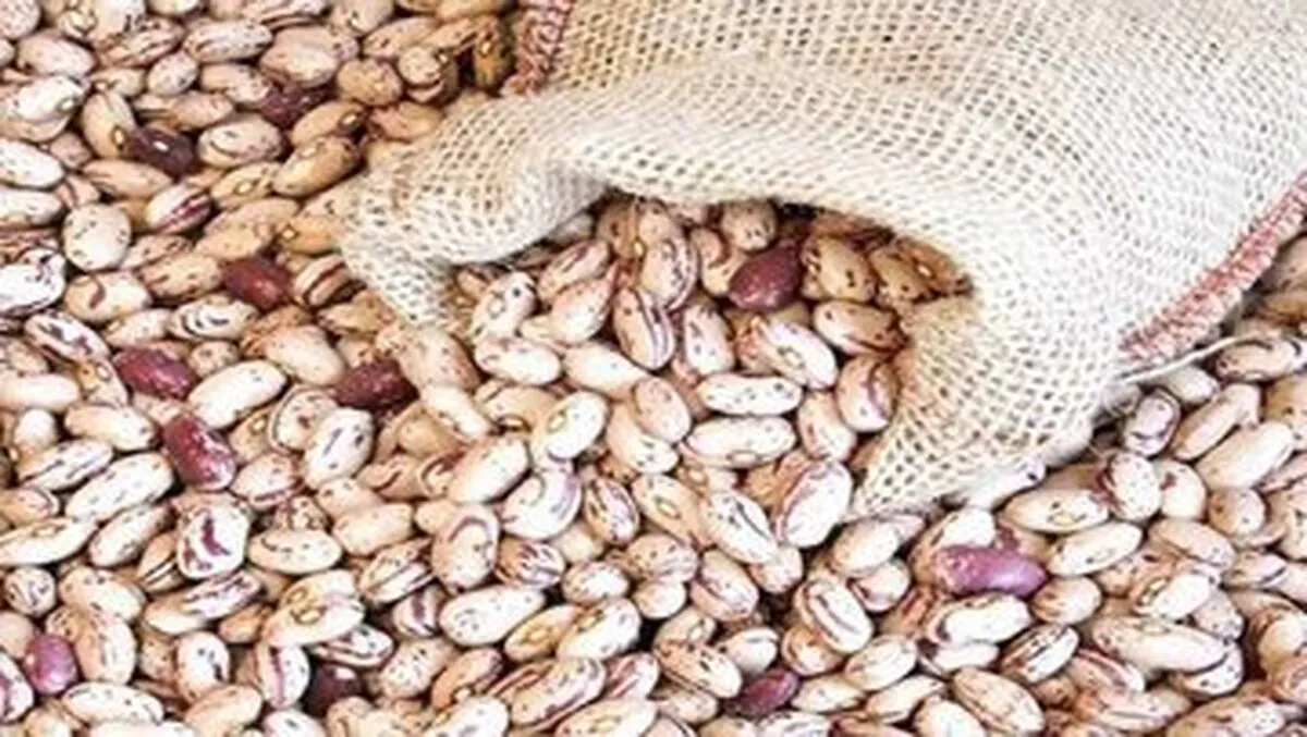 لوبیا چیتی هم قیمت گوشت شد/ وزیر جهاد: قیمت حبوبات منطقی است