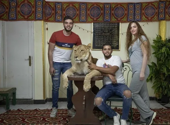 مربی سیرک شیر را به خانه آورد! +تصاویر