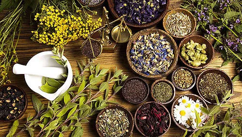 افق صادرات داروهای گیاهی تا ۲۰۵۰