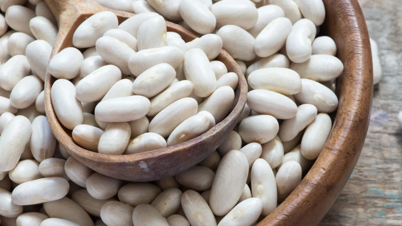 عصاره لوبیا سفید چه فوایدی دارد