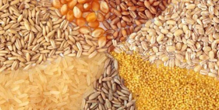 آغاز عرضه گسترده نهاده‌های دامی در کشور