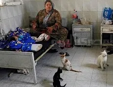 اینجا بیمارستان است! +عکس