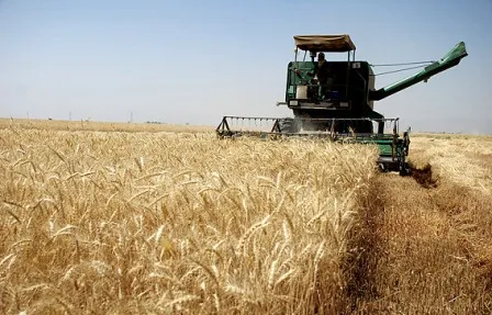 سرمایه‌گذاری خارجی برای‌ توسعه کشاورزی