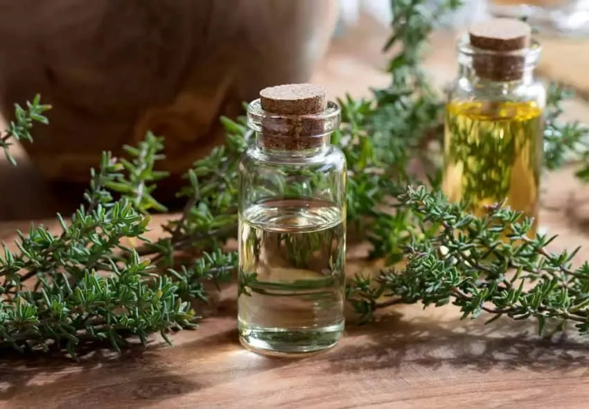 آنتی بیوتیک های قوی خانگی که خطرات کمی برای بدن دارند