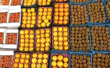 تفاوت 300درصدی قیمت میوه درشهر و تره‌بار