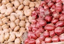 قیمت سیب زمینی به ۵۵۰۰تومان رسید