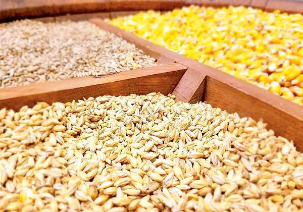 ١۶درصد نیاز کشور به نهاده‌ها در داخل تولید می‌شود