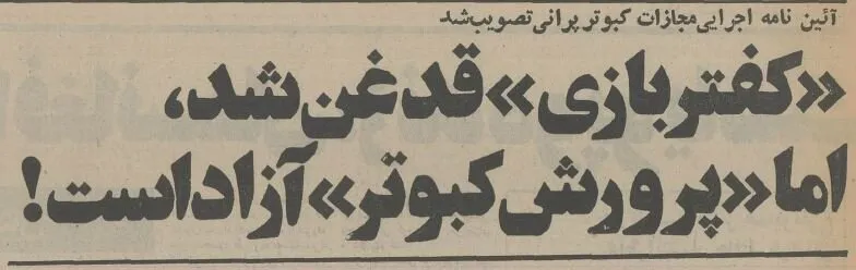 6 6