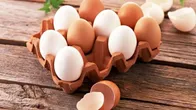خبر خوب از بازار مرغ و تخم مرغ/ عبور از بحران ارزی و بازگشت تعادل به تولید