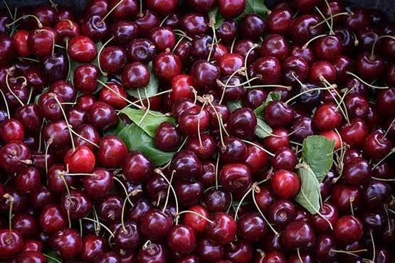 میوه&zwnj;های قرمز چگونه باعث کاهش وزن می&zwnj;شوند؟!