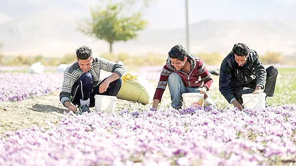 حومه شهرهای جهان چگونه مقصد گردشگران می‌شود؟