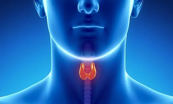 توصیه‌هایی برای کاهش وزن در مبتلایان به کم‌کاری تیروئید