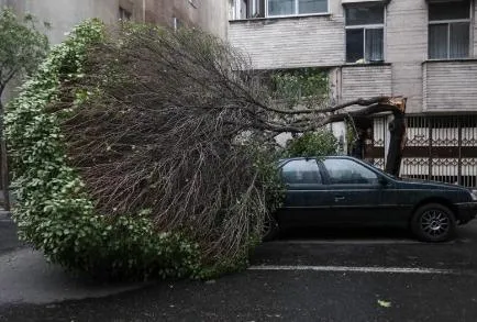 ثبت ۳۶ حادثه پس از وقوع طوفان در پایتخت
