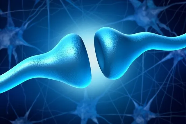 چرا بی تفاوتی اولین علامت آلزایمر است؟
