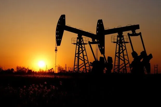 قیمت طلای سیاه افزایش یافت