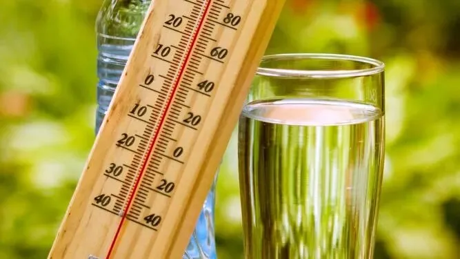چطور بفهمیم آب بدنمان کم شده است؟