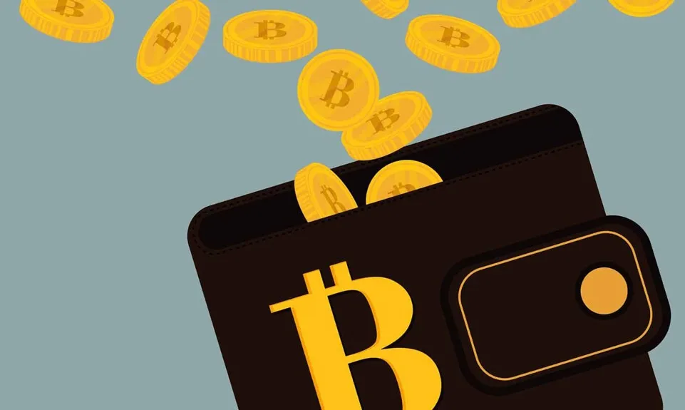 ارز بومی رقیب بیت‌کوین نیست/ حل مشکلات بازار پول با ارز رمزنگاری شده داخلی