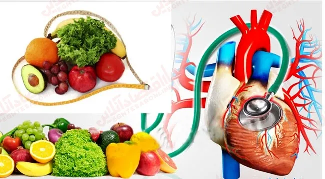 چربی‌ های خوب، چربی‌ های بد و بیماری‌ های قلبی