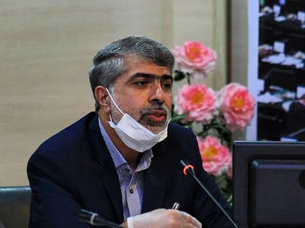 مجلس حامی جدی صنعت خودرو است / تأکید بر نقش موثر سایپا در رونق تولید کشور