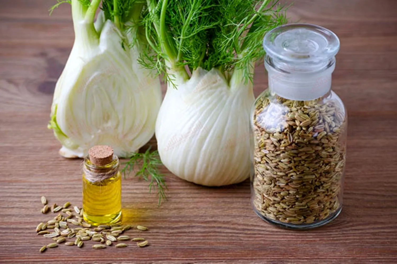 رازیانه بخوریم یا نه؟ + رازیانه در بارداری چه فواید و خطراتی دارد