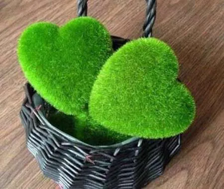 آموزش ساده کاشت سبزه عروسکی/ مدل سبزه عید ۱۴۰۲ + فیلم