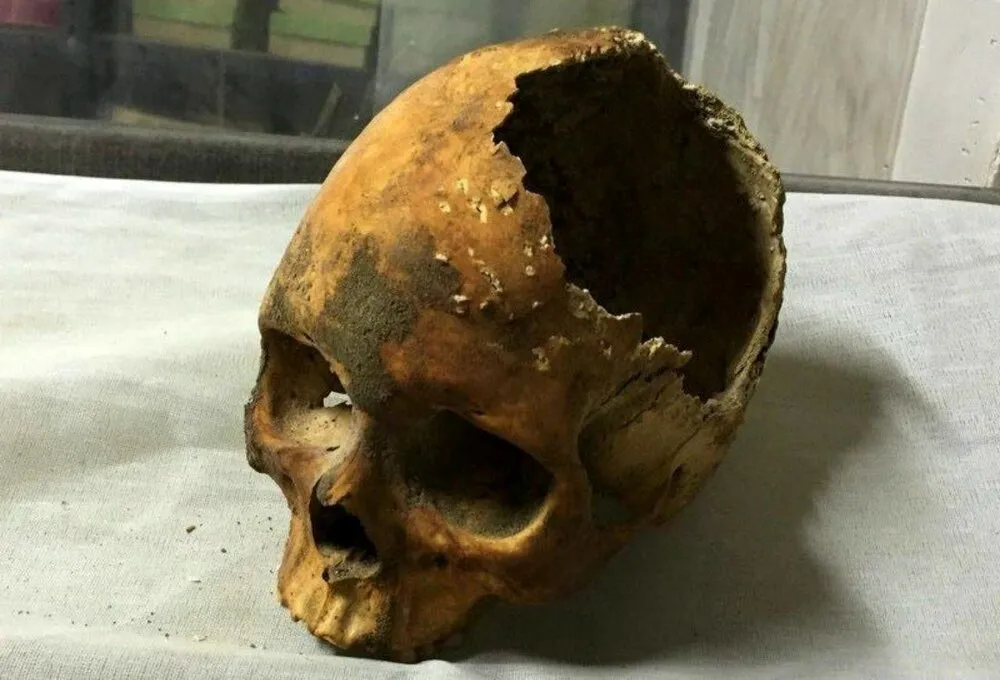 رونمایی از جمجمه نادر شاه پس از ۲۷۰ سال + عکس