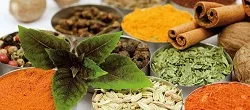گیاهان دارویی بسته بندی کنید