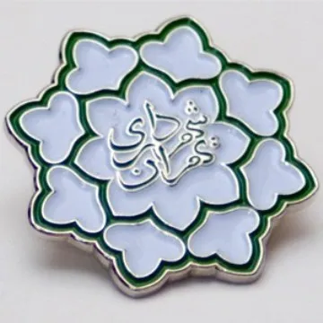 کرکه آبادی مدیرکل دفتر شهردار تهران شد
