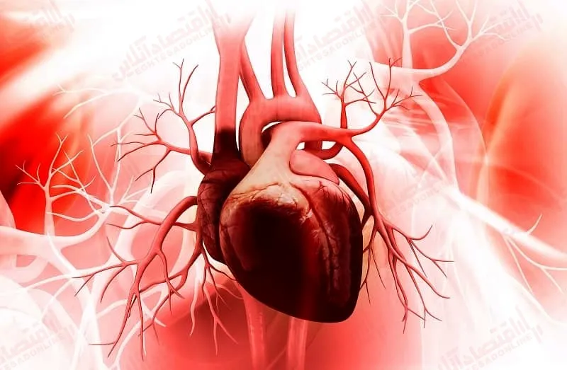 کرونا باعث التهاب عضلات قلب می شود