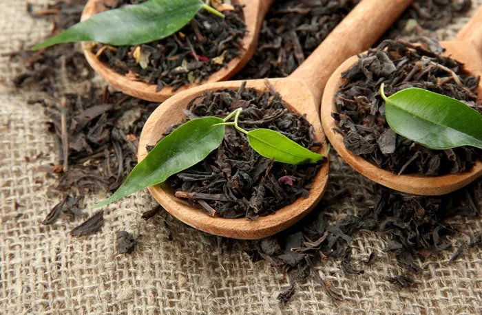 ۴۰ درصد؛ افزایش واردات چای