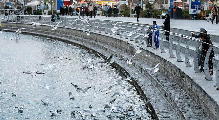 تعطیلی دریاچه شهدای خلیج فارس تا اطلاع ثانوی