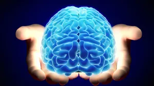 The brain still works after you’re dead