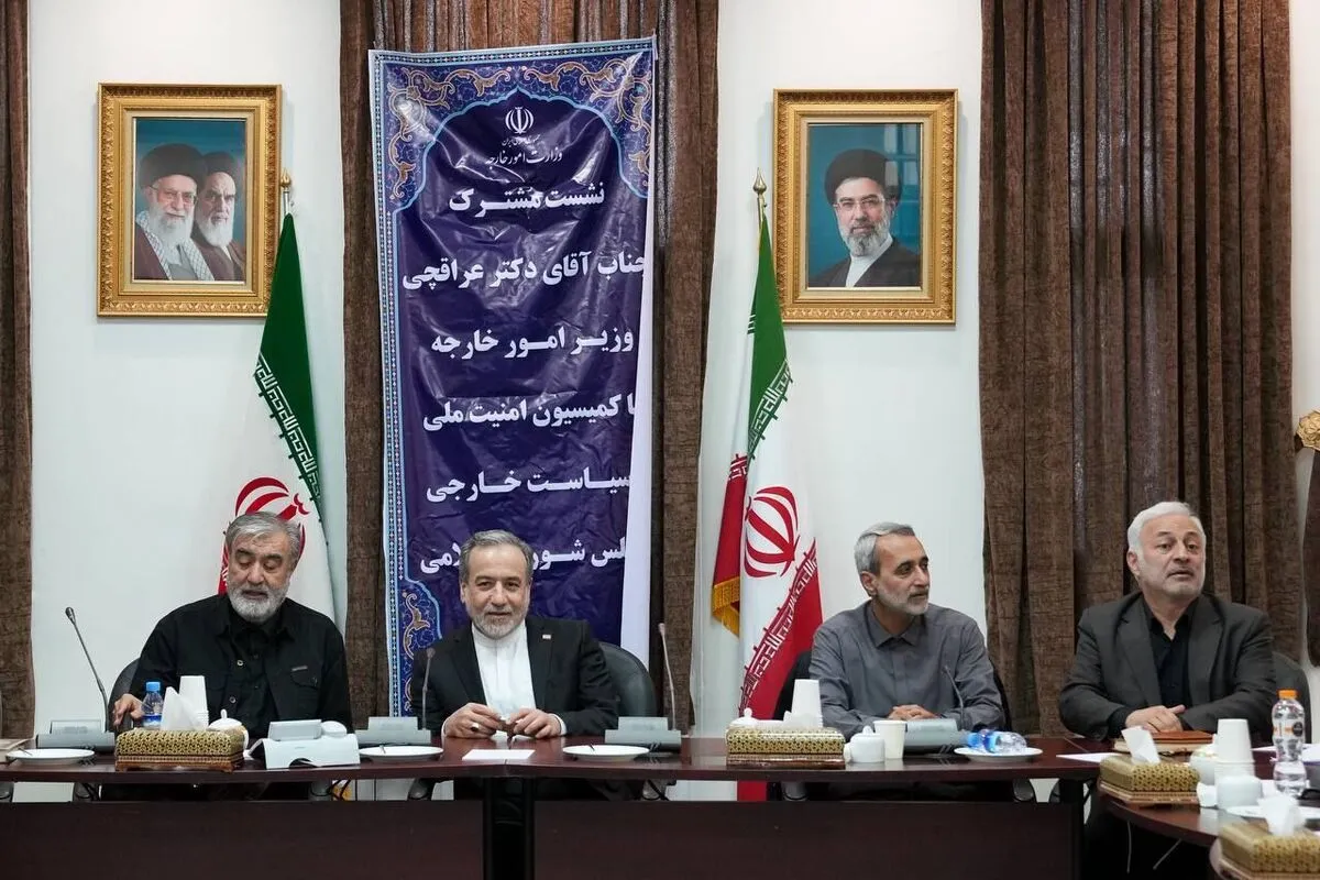جزئیات دیدار اعضای کمیسیون امنیت ملی مجلس با عراقچی