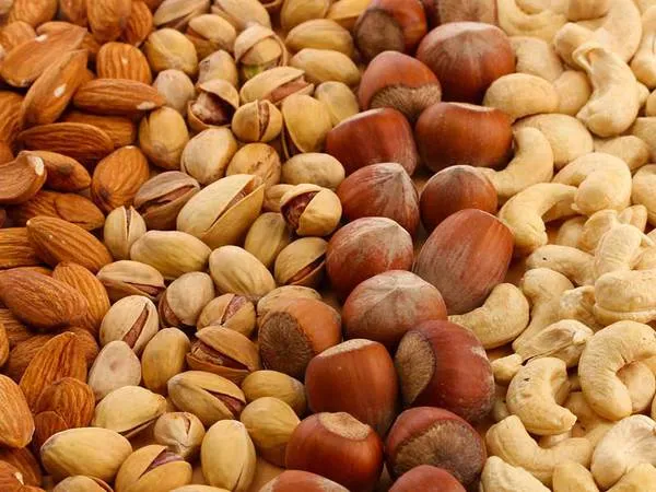 آمریکا، ترکیه و عراق تهدیدی برای صادرات خشکبار ایران