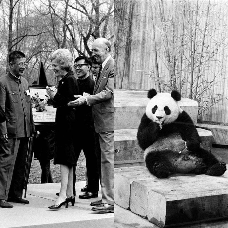 What Do Diplomatic Gifts Really Say About International Relations?