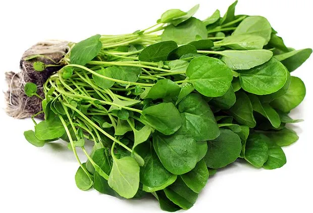 فواید «شاه» سبزی ها + عوارض و طبع آن