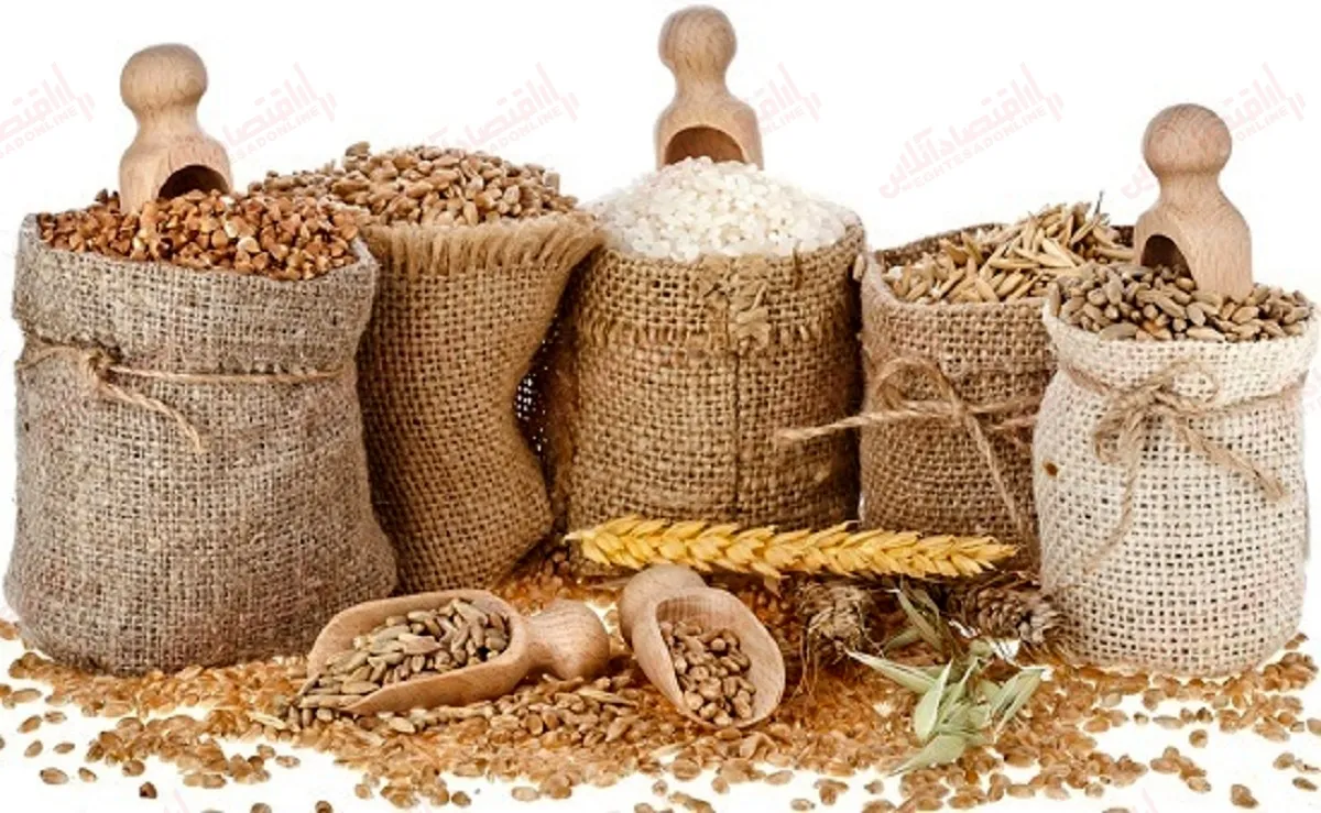 بی ثبات بازار غلات جهان با تشدید بحران اوکراین