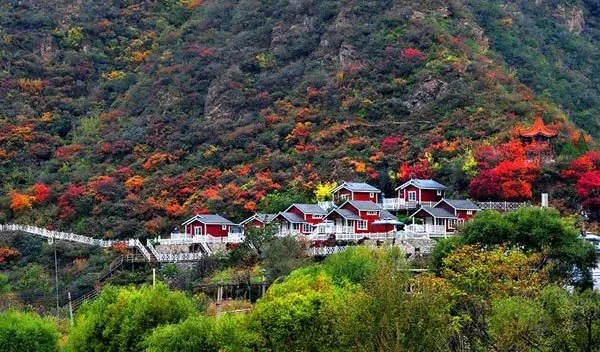 تورهای مسافرتی ممنوع نیست
